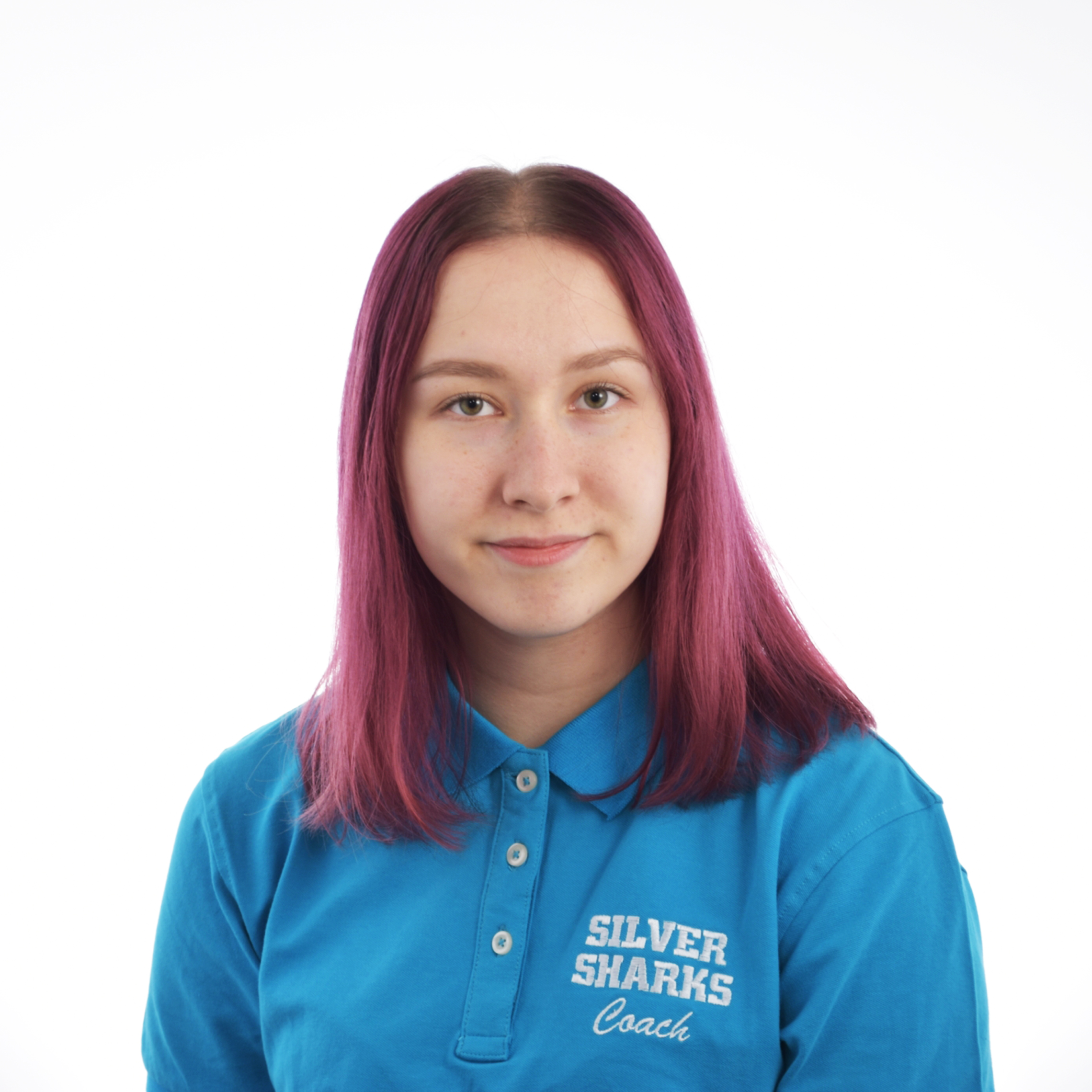 sini mettomäki